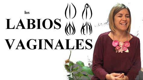 labios vaginales grandes|Tengo un labio vaginal más grande que el otro, ¿Se puede。